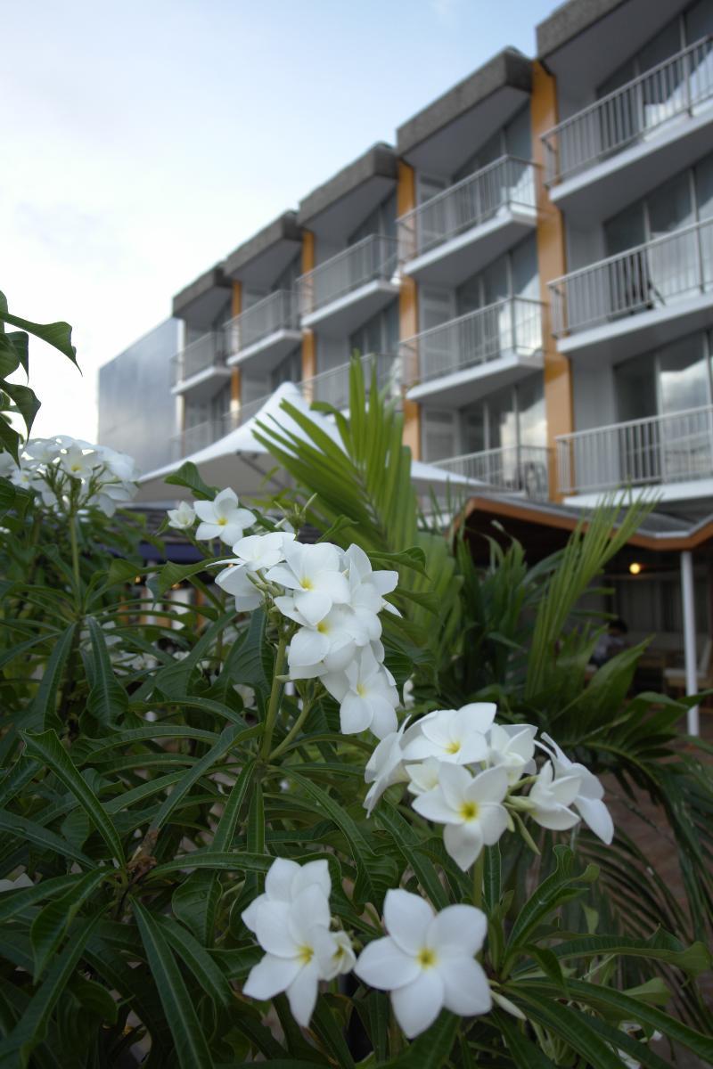 Radisson Hotel Paramaribo Dış mekan fotoğraf